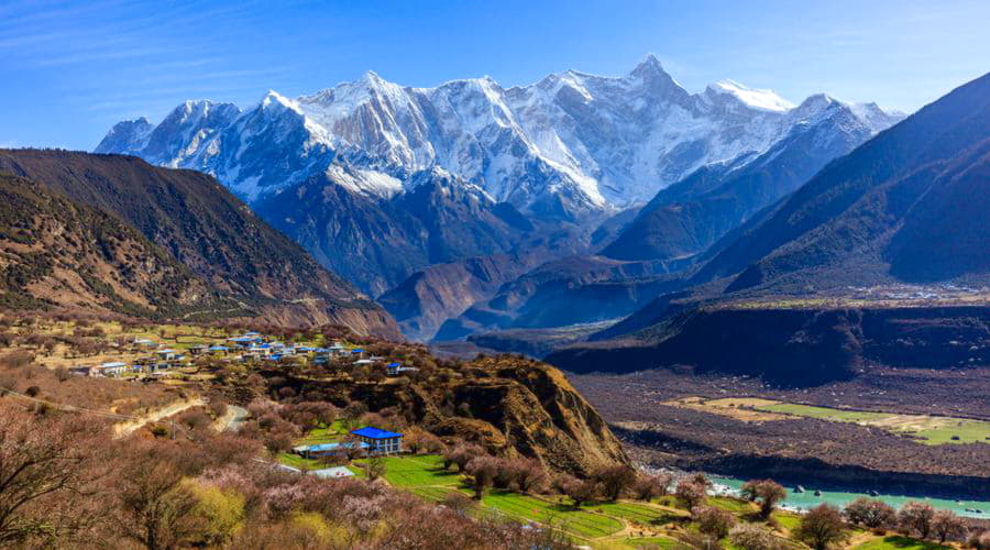 Nosso inventário inclui uma ampla variedade de veículos.